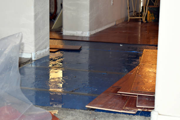 Professional Sewage Cleanup technician working in New London, TX